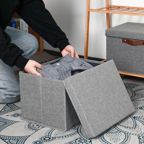 Temary Storage Bins with Lids 2-Pack Large Foldable Storage Baskets with Lid, Fabric Storage Bin for Organizing Home (Grey, 15x11x9.5inch) - color: A-Gray, size: 15×11×9.5