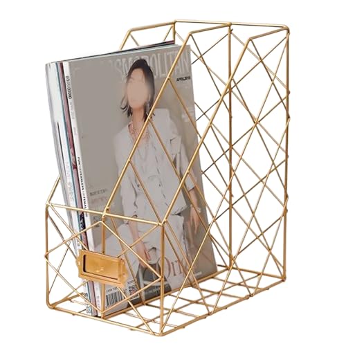 Modern Geometric Metal File Organizer for Desk, 8"×10"×12" Iron Mesh Magazine Holder, Desktop Document Rack Storage for Office Supplies, Vertical Book Stand File Folder Rack (Golden) - color: Golden