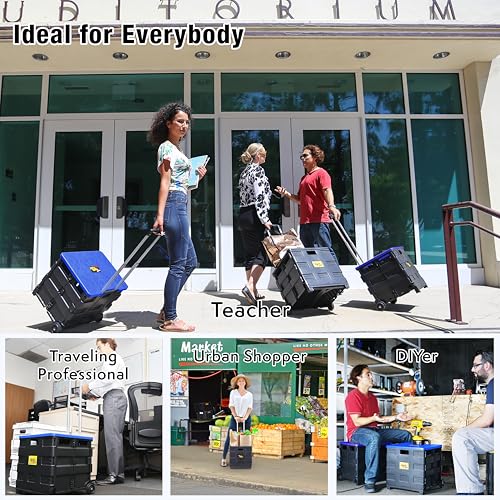 dbest products Quik Cart Collapsible Rolling Crate on Wheels for Teachers Tote Basket, 80 lbs Capacity, Blue Lid Made from Heavy Duty Plastic and used as a Seat - color: Black, Blue, style: Standard
