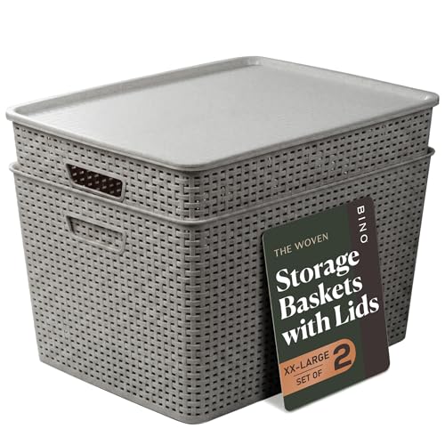 BINO | Plastic Storage Baskets with Lids, 45 Liter - 3 Pack, Natural Grey | THE WOVEN COLLECTION | Storage Basket for Shelves | Woven Storage Baskets for Organizing Bins | Pantry Shelf Organizer Bin - color: Natural Grey, size: 45L | 2-Pack
