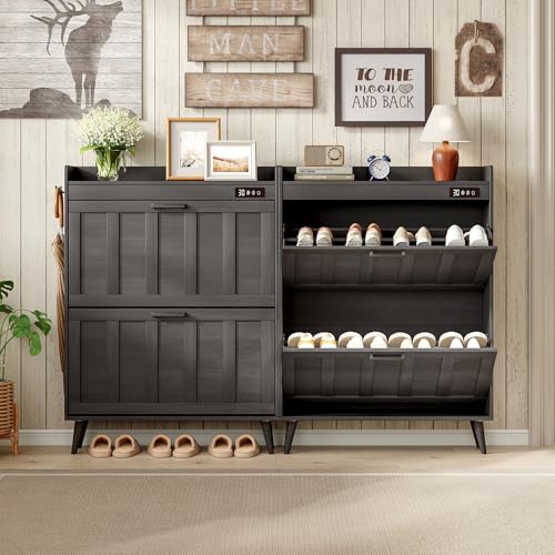 ChooChoo Shoe Storage Cabinet with 2 Flip Drawers, Deodorizing Shoe Organizer Storage for Entryway, Freestanding Hidden Slim Narrow Shoe Rack Cabinet, Black - color: Black, size: 2-Drawers