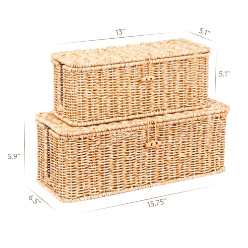 BROWNLILY Cable Management Box, Rattan Style Cord Organizer for Desk Cord Hider Outlet Covers Baby Proofing for Power Strip TV PC Router Charger Under Desk Storage with Lockable Lid and Cable Ties - color: Natural, size: Set (L+M)