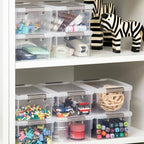 Anywish Small Storage Bins with Lids 3.2 QT Plastic Storage Containers for Organizing Stackable Clear Storage Boxes,Clear White(6 Packs)