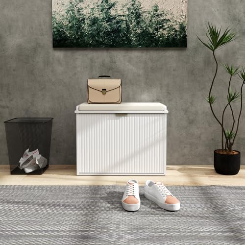 HOMCOM Narrow Shoe Bench with Padded Cushion, Shoe Cabinet with Flip-Drawer and Adjustable Shelf, Small Entryway Bench Holds up to 265lb, 24.4x10.2x18.7 Inches, White - color: White, size: 24.4" x 10.2" x 18.7"