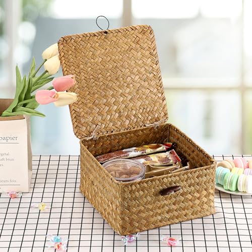 Hipiwe Wicker Shelf Basket Bin with Lid Square Handwoven Seagrass Box Decorative Household Storage Container Multipurpose Organize for Bookshelf Living Room Bathroom, Small Caramel - color: Caramel, size: Small