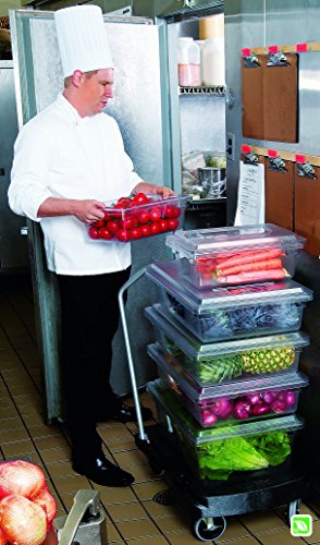 Rubbermaid Commercial Products Food Storage Box/Tote for Restaurant/Kitchen/Cafeteria, 5 Gallon, White (FG350600WHT) (Pack of 2) - color: White, size: 5 Gal Thin (Pack of 2), style: Container