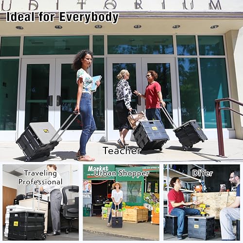 dbest products Quik Cart Collapsible Rolling Crate on Wheels for Teachers Tote Basket 80 lbs Capacity, Made from Heavy Duty Plastic and Used as a Seat, Grey - color: Gray, style: Standard