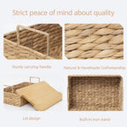 Handmade Water Hyacinth Woven Storage Basket with Lid, Multi - Functional Wicker Organizing Baskets (Small) - size: Small (Single)