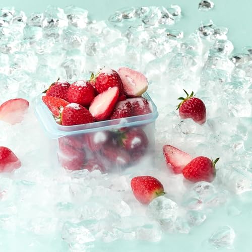 LocknLock Freezer Fit Plastic Freezer Containers | Airtight Stackable Food Storage for Meal Prep | Microwave & Dishwasher Safe | BPA Free Freezer Container with Lid, 750ml - size: 750ml