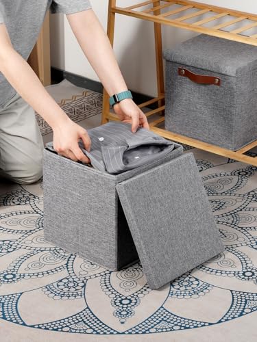 Temary Foldable Fabric Storage Bins with Lids, 2-Pack Storage Bin for Organizing Living Room, Closet Organization, Multi-Purpose Storage Boxes for Clothes (Grey, 10.5x10.5x10.5 inch) - color: A-Gray, size: 10.5×10.5×10.5