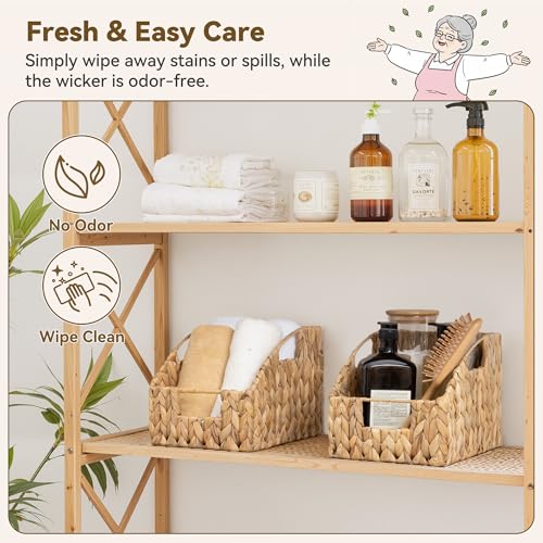 GRANNY SAYS Wicker Storage Baskets for Shelves, Trapezoid Woven Basket with Handles, Storage Wicker Baskets for Pantry, Water Hyacinth, 2-Pack - color: Water Hyacinth, size: 2x 10¼"D x 7½"W x 7¼"H