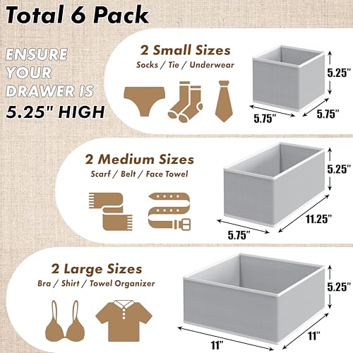 Simple Houseware Underwear Drawer Organizer for Lingerie/Undergarment/Bra/Panty/Sock/Onesie, Set of 6, Gray - color: Gray, size: Set of 6 - 2L / 2M / 2S