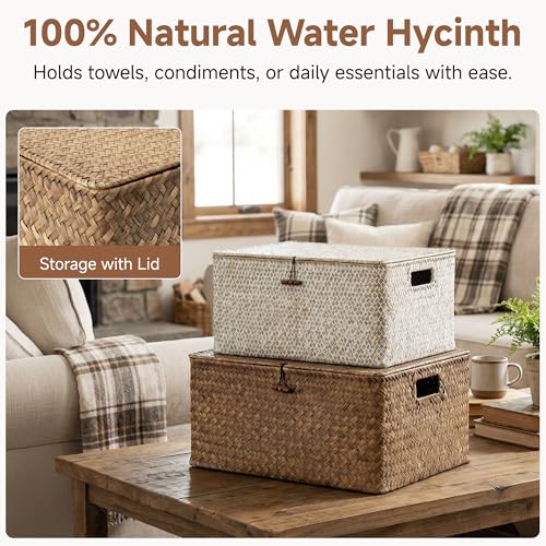StorageWorks Extra Large Wicker Baskets, Seagrass Storage Baskets for Shelves, Decorative Box with Built-in Handles,Brown - color: Brown(Seagrass), size: 16½"L × 13"W × 7½"H