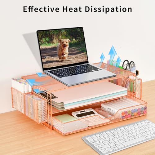 AUPSEN Computer Monitor Stands Riser，2-Tier Desk Organizers and Accessories, Office Desk Accessories Organizer with Drawers and 2 Pen Holder for Office Supplies (Rose Gold) - color: Rose Gold Metal