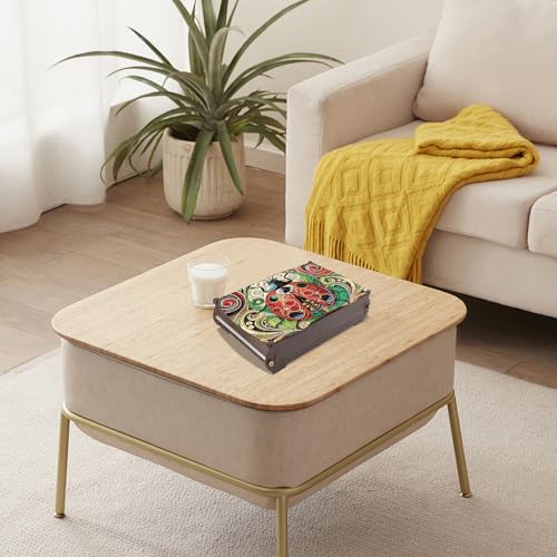 antor DIY Diamond Painting Wooden Storage Box, Ladybug Creative Special Shaped Rhinestone Art Flip Cover Decorative Money Box, Handmade Art Desktop Decorations Gift for Adults - color: Ladybug