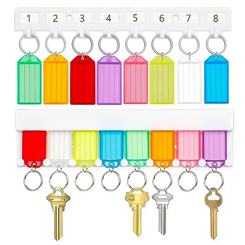 Uniclife Key Tag Rack Slot and Hook Style Plastic Wall Mounted Key Holder Organizer with Transparent Tough Key Tag Identifiers Markers in 8 Assorted Colors, 2 Pack - size: 10.4'' x 2.8'', 2 Pack, style: 2 Styles