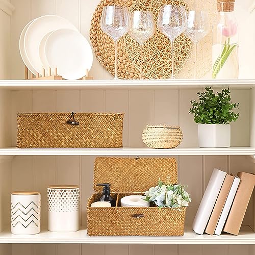 Sumnacon Small Woven Basket for Shelf, Wicker Shelves Storage Baskets with Sections Seagrass Storage Bin with Lid for Tampon Toiletry Rectangular Storage Basket for Bathroom Table Desk Caramel - color: Caramel, size: Medium