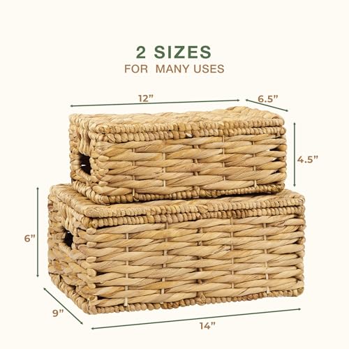 Set of 2 Wicker Baskets with Lid - Decorative Storage Boxes for Home Decor, Shelves - Woven Basket with Lid - Wicker Decor - Rattan Box - Decorative Bins with Lids (Natural) - color: Natural