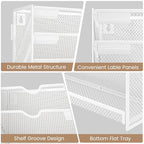 10-Tier Wall Mounted File Organizer, Metal Mesh Paper Holder (White) - color: White