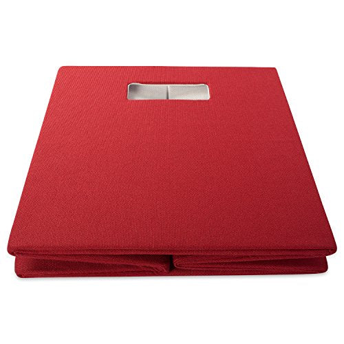 DII Collapsible Polyester Storage Cube, Solid, Lightweight and Durable, Small Square, 11x11x11, Rust - color: Rust, size: Small Square, 11x11x11"
