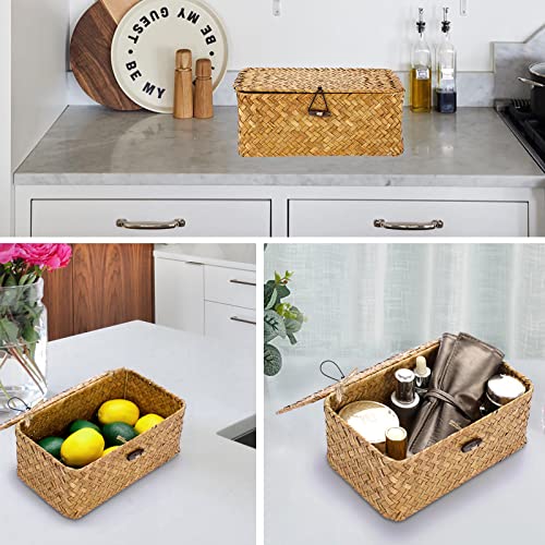 Hipiwe Wicker Shelf Baskets Bin with Lid, Handwoven Seagrass Basket Storage Bins Rectangular Household Basket Boxes for Shelf Wardrobe Home Organizer, Caramel X-Small - color: Caramel, size: X-Small