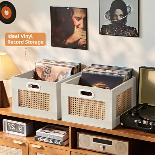 LELELINKY Vinyl Record Storage Crate, Rattan Vinyl Record Holder with Handle, Wood Record Crate for Vinyls Holder up to 75 LP's, Desktop Cube Album Storage for Vinyls Records(Grey White) - color: Grey White, size: 1 Pack