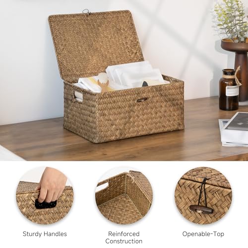 StorageWorks Wicker Baskets with Lid for Organizing, Seagrass Storage Baskets for Shelves, Decorative Box with Built-in Handles, Brown, Large, 1 Pack - color: Brown(Seagrass), size: 15"L × 11"W × 7"H