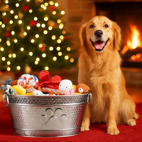 BREKX Metal Indestructible Dog Toy Bin - Steel Dog Toy Basket with Handles, Pet Storage Box, Oval for Blankets, Leashes, & Ropes for Aggressive Chewers - Pawprint Design Home Decor (Silver) - color: Silver