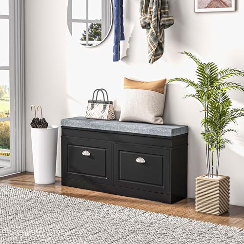 HOMCOM Modern Shoe Rack Bench for Entryway, Storage Organizer with Cushion, 2 Drawers, Adjustable Shelf, Holds 8 Pairs, Black - color: Black