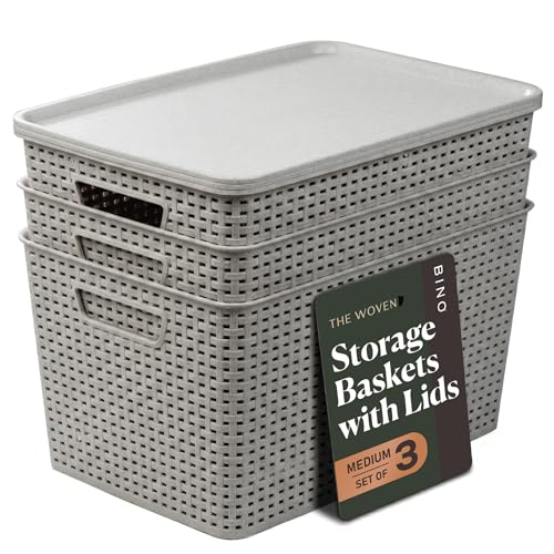 BINO | Plastic Storage Baskets with Lids, 22 Liter - 3 Pack, Natural Grey | THE WOVEN COLLECTION | Storage Basket for Shelves | Woven Storage Baskets for Organizing Bins | Pantry Shelf Organizer Bin - color: Natural Grey, size: 22L | 3-Pack