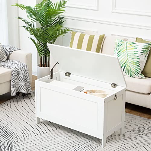 HOOBRO Toy Box, Retro Wooden Look Storage Chest with Safety Hinge, Entryway Storage Bench Supports 220 lb, 29.9 x 15.7 x 18.9 Inches Toy Chest Organizer, Easy Assembly (White) WT75CW01G1 - color: White, size: 29.9x15.7x18.9 Inch