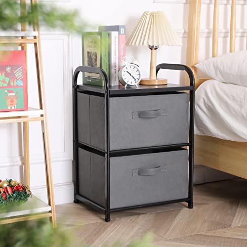 Dresser for Bedroom with 2 Drawers, Wide Chest of Drawers, Fabric Dresser, Storage Organizer Unit with Fabric Bins for Closet, Living Room, Hallway, Nursery, Dark Grey - color: Grey4