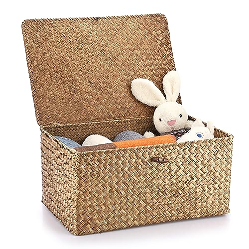 Hipiwe Wicker Shelf Baskets Bin with Lid, Handwoven Seagrass Basket Storage Bins Rectangular Household Basket Boxes for Shelf Wardrobe Home Organizer, Coffee X-Large - color: Coffee, size: X-Large