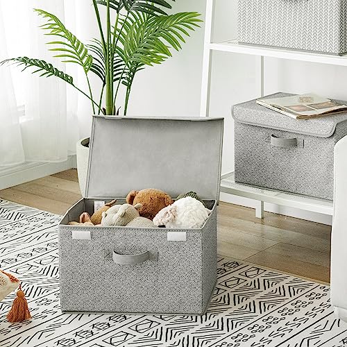 GRANNY SAYS Storage Baskets with Lids, Clothes Storage Boxes, Fabric Storage Bins, Keepsake Box, Closet Organizers and Storage, Gray, 2-Pack - color: Ash Gray, size: Large-2 Pack