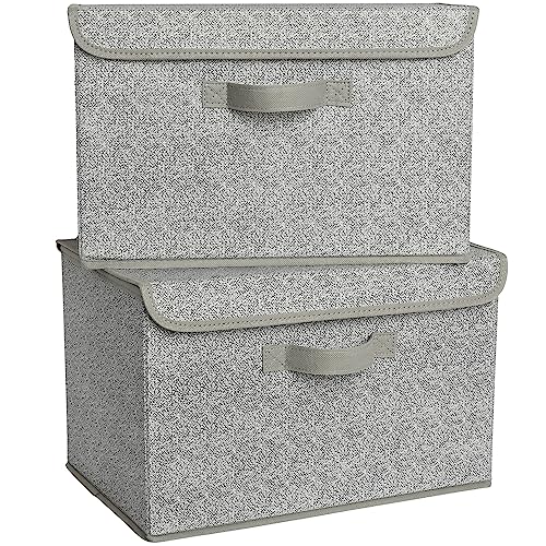 GRANNY SAYS Closet Storage Bins, Storage Boxes with Lids, Clothes Organizing Bins, Lidded Baskets for Toys, Clothing, Gray, Extra Large, 2-Pack - color: Ash Gray, size: Extra Large-2 Pack