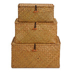 Woven Wicker Storage Bins with Lid, Seagrass Basket for Shelf Organizer, Extra Large, Set of 3 - size: Set of 3 (S+M+L)
