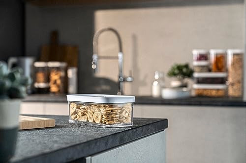 ZWILLING FRESH & SAVE CUBE Storage Container, Size M, Modular & Stackable Container, Airtight & Vacuum Storage, Dishwasher Safe, Transparent - size: M